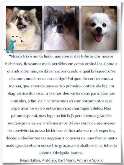  Imagem 
